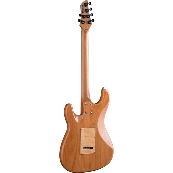Eko Guitars Aire Standard