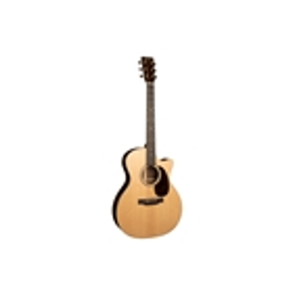 Martin & Co. GPC-16E-01 Rosewood