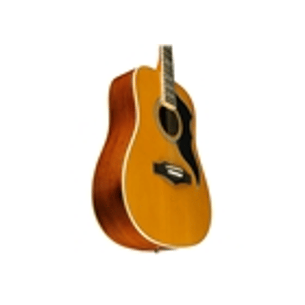 Eko Guitars Ranger VI VR Eq Natural Top Stained