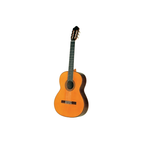 Esteve Mod.8 (Top Abete) Chitarra Classica