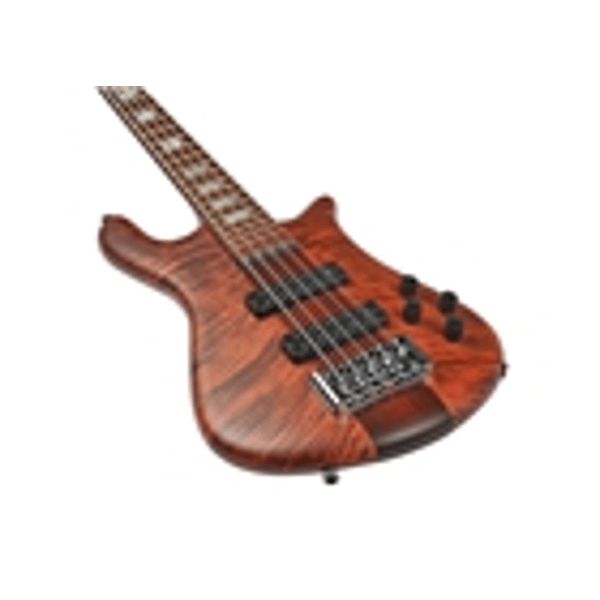 Spector NS Euro 5 RST Sienna Stain Matte