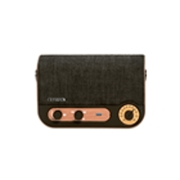 Aiwa Vintage Style Portable Radio & Speaker (FM/USB/AUX/BT): 8435256896688: TGJones