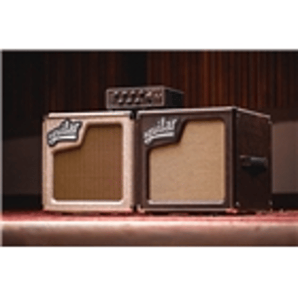 Aguilar TH 350 LTD Chocolate Brown