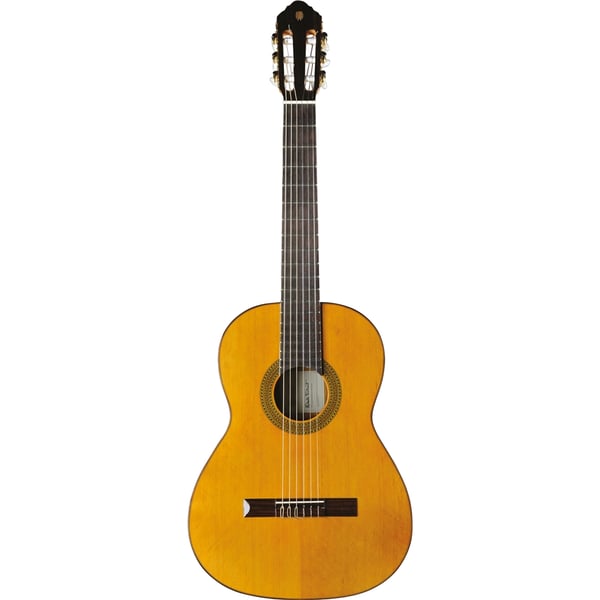 Eko Guitars EKO CHITARRA Vibra 300 Natural