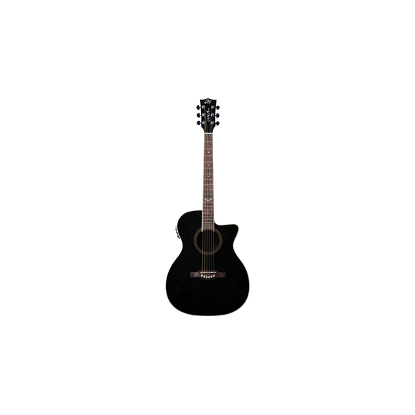 Eko Guitars NXT A100ce See Through Black