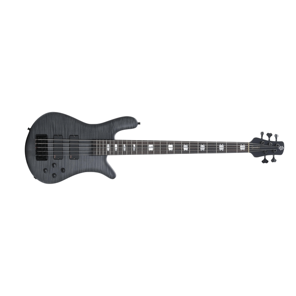 Spector Euro5 LX Trans Black Stain Matte