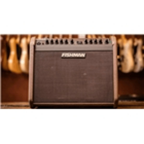 Fishman Loudbox Mini Charge PRO-LBC-500