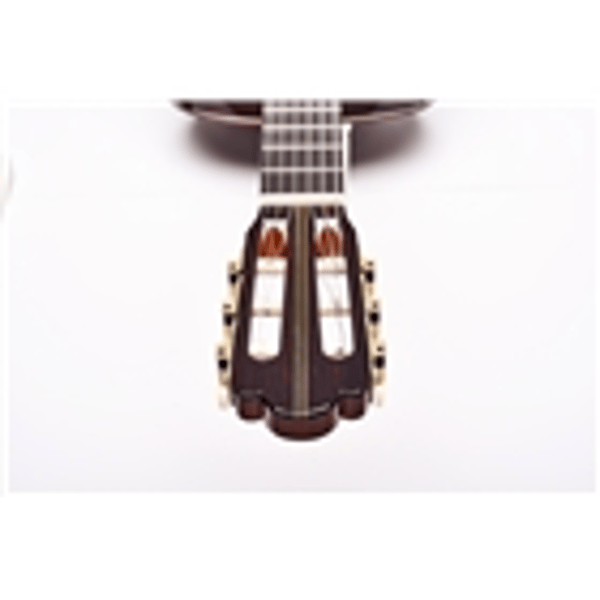 Esteve Hauser Chitarra Classica