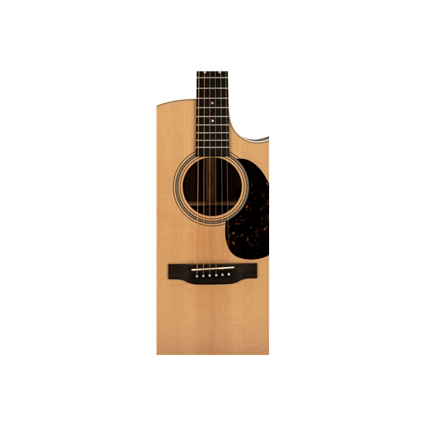 Martin & Co. GPC-16E-01 Rosewood