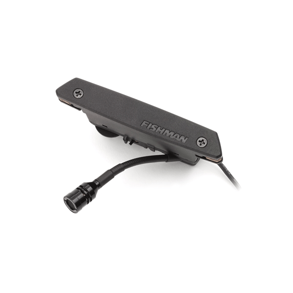 Fishman Rare Earth Soundhole Mic Blend Pickup