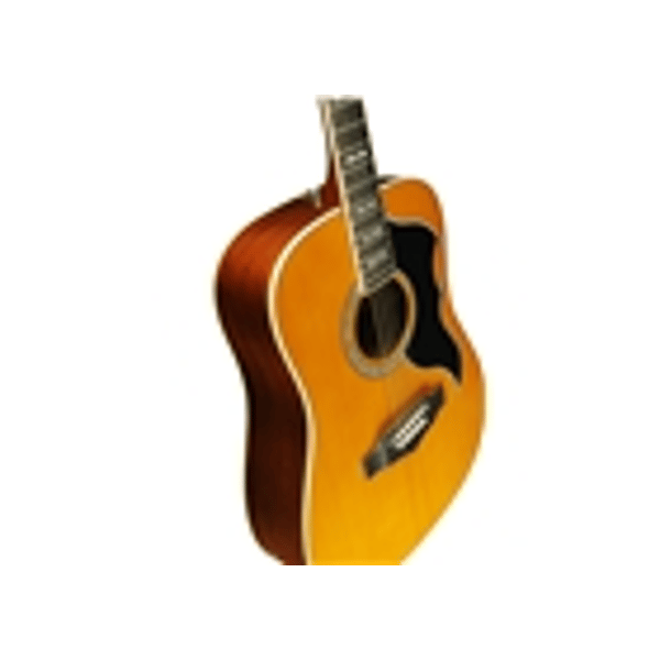 Eko Guitars Ranger VI VR Eq Natural Top Stained