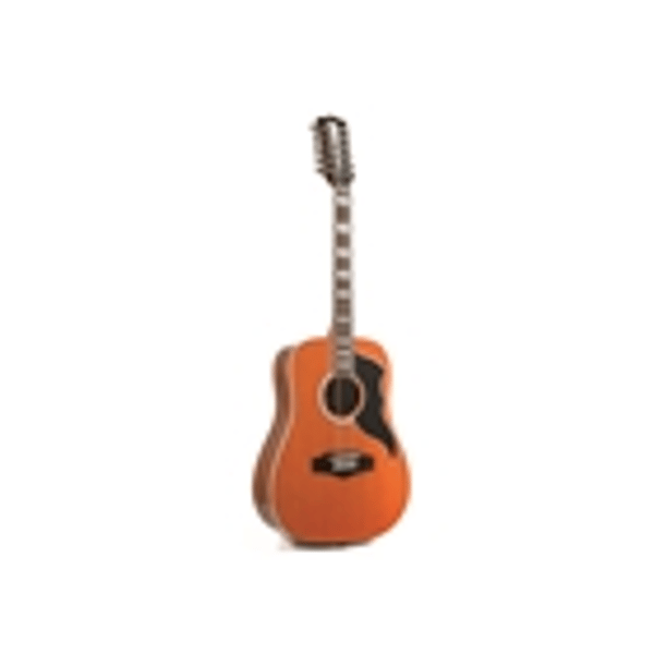 Eko Guitars Ranger XII VR Natural Top Stained