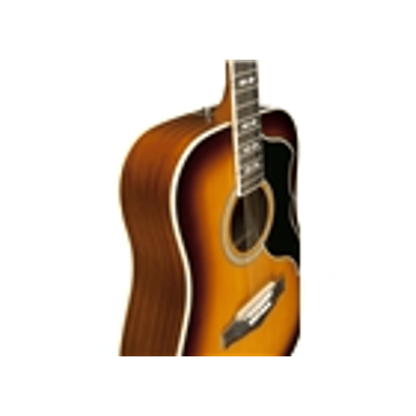 Eko Guitars Ranger VI VR Eq Honey burst