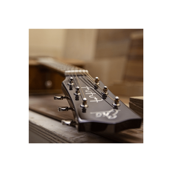 Eko Guitars Ranger Futura