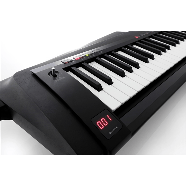 Korg RK-100S2-BLK