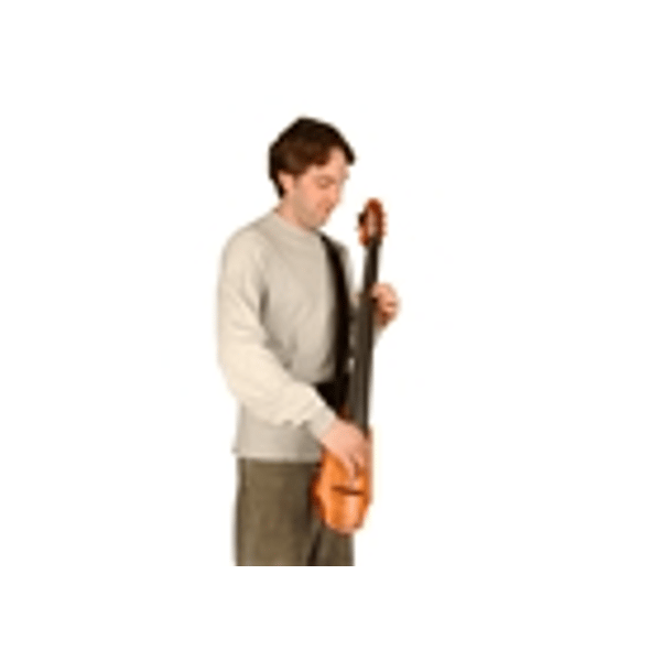 NS Design CR-FSS-CODB Frame Strap System