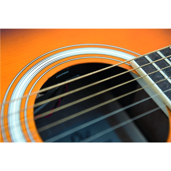 Eko Guitars Ranger VI VR Honey burst