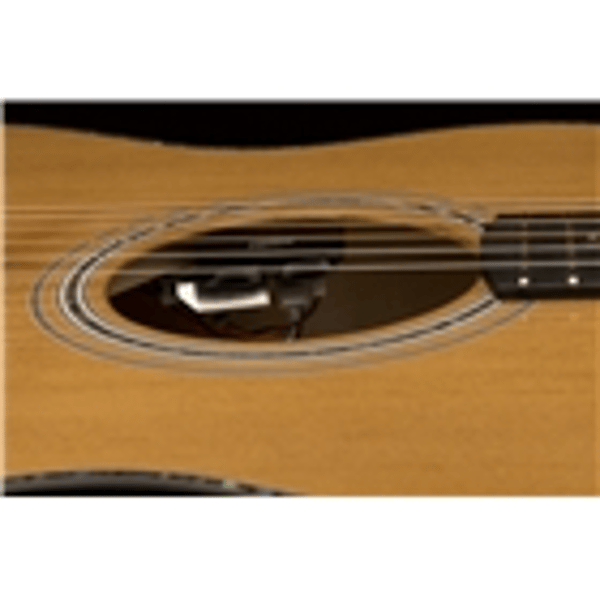 PRS SE A50E Black Gold Burst