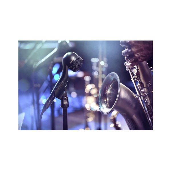 Shure Nexadyne NXN5