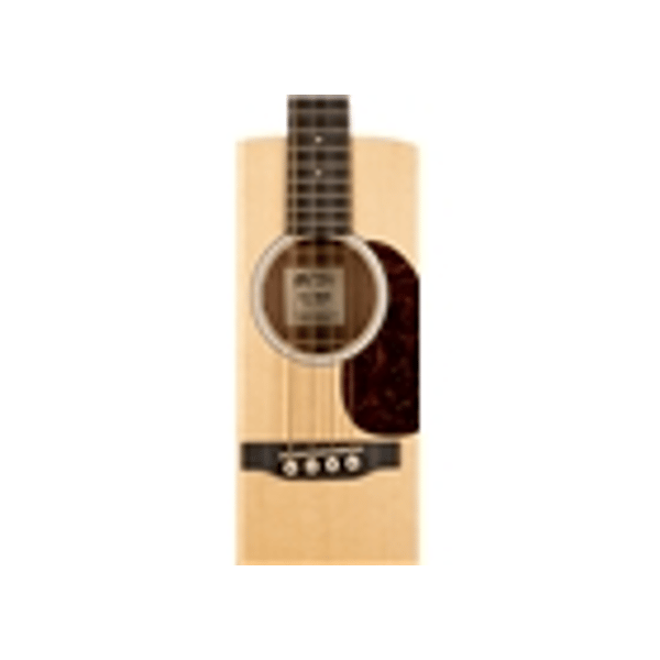 Martin & Co. D Jr-10E BASS