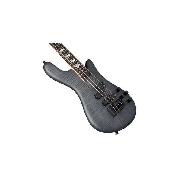 Spector Euro 4 LX Bolt-On - Black Stain