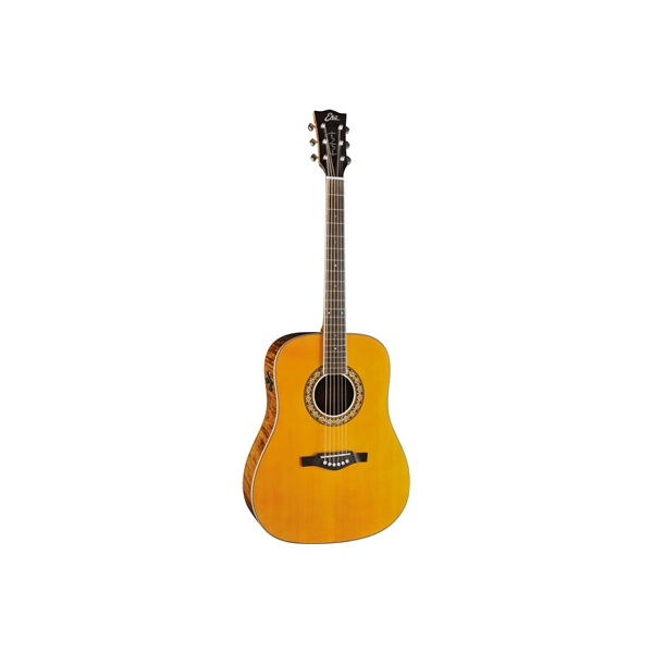 Eko Guitars Ranger Futura