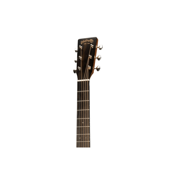 Martin & Co. D-X2EL Billy Strings Left