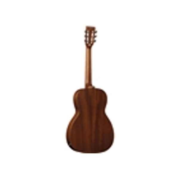 Eko Guitars Duo P200e
