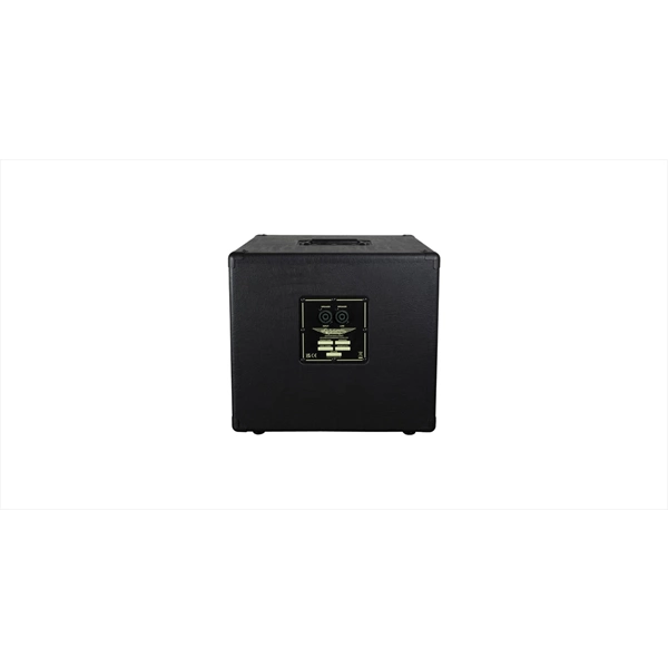 Ashdown RM-110T-EVO III