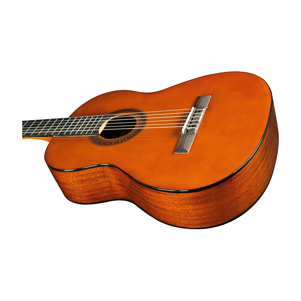 Eko Guitars CS-12