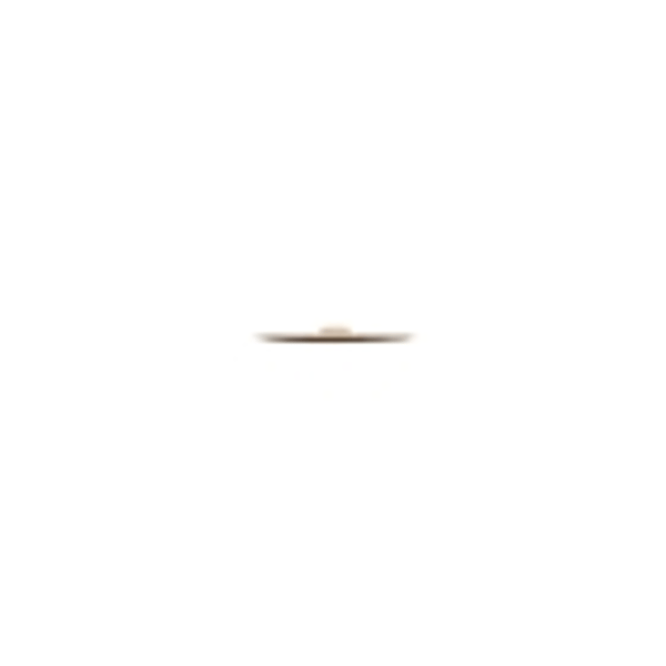 Zildjian A0612-12" FX China Trash