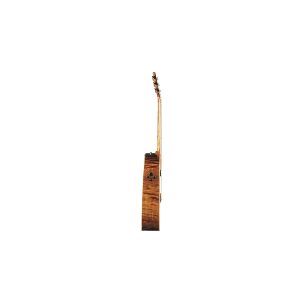 Eko Guitars Ranger Futura