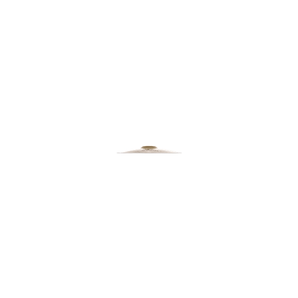 Zildjian A0611-11" FX Trash Splash