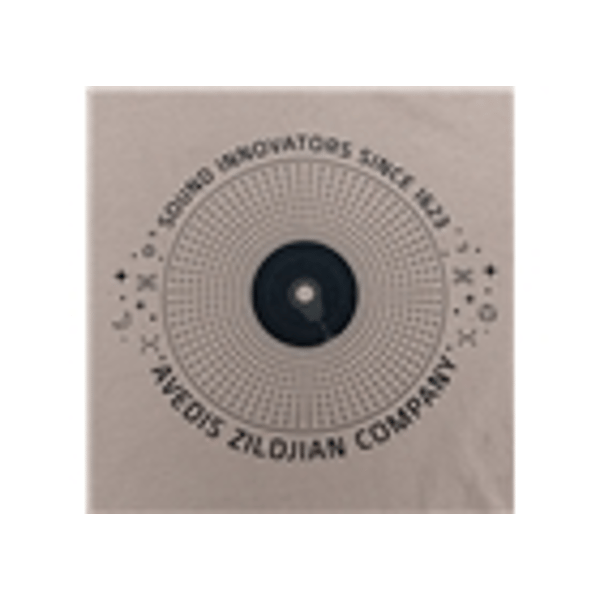 Zildjian ZATS0172-LE Alchem-E Sand T-Shirt Medium