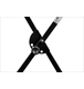 ico 1