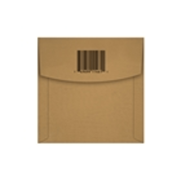 Ernie Ball 1461 Earthwood Phosphor Bronze Wound Bass .110