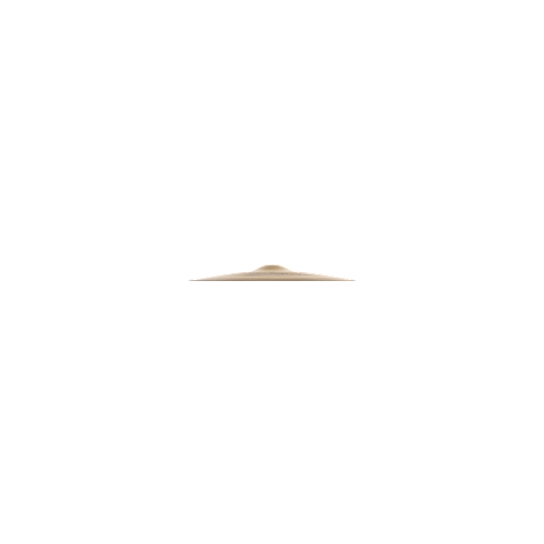 Zildjian A0124-14" A Mastersoundound HiHat - Top