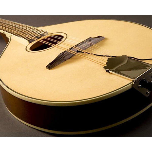 Fishman Nashville Flat-Top M-400 Mandolin Pickup (PRO-M40-0MA)