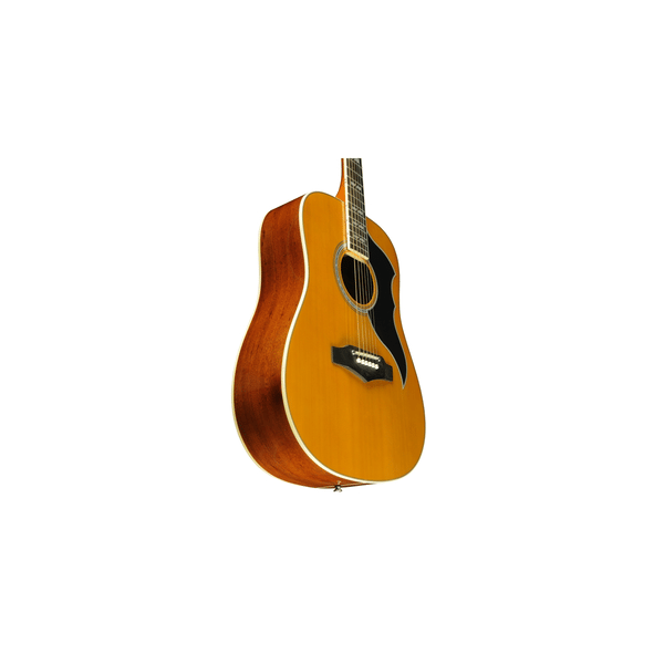 Eko Guitars Ranger VI VR Eq Natural Top Stained