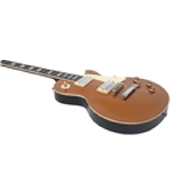 Eko Guitars LS-300 Gold