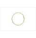 ico 1