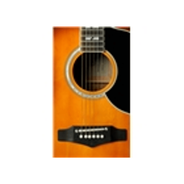 Eko Guitars Ranger VI VR Honey burst
