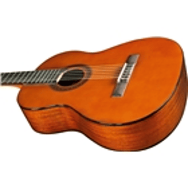 Eko Guitars CS-12