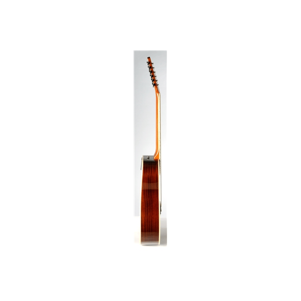 Eko Guitars Ranger XII VR Natural Top Stained