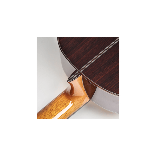 Esteve Hauser Chitarra Classica Abete