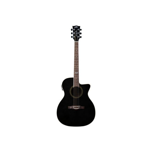 Eko Guitars NXT A100ce See Through Black