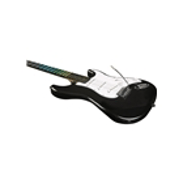 Eko Guitars S-300 Black Visual Note