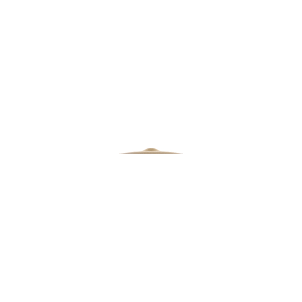 Zildjian A0212-12" A Splash
