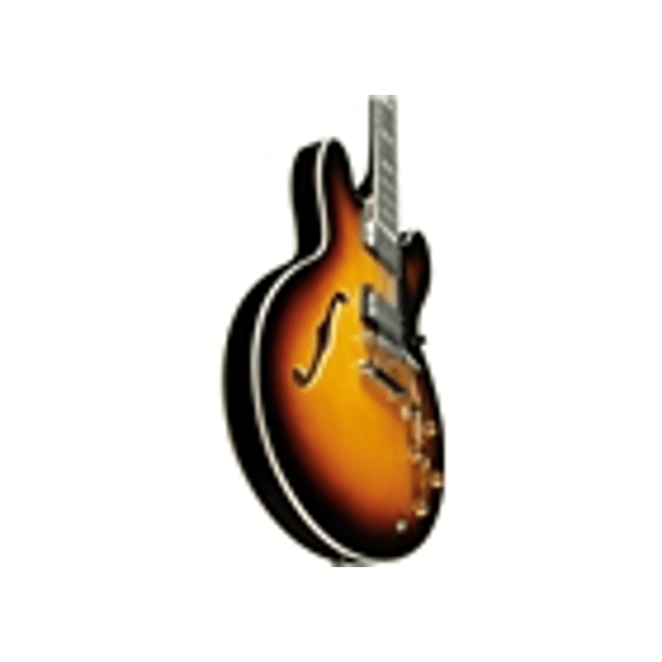 Eko Guitars SA 350