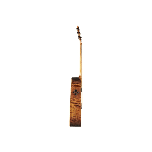 Eko Guitars Ranger Futura
